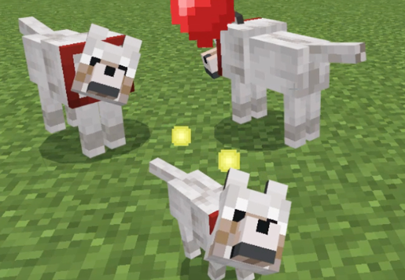 オオカミのなつかせ方・回復方法・習性まとめ!【マイクラ】