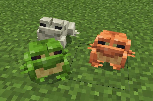 カエルの特徴と繁殖・移動について解説【マインクラフト】