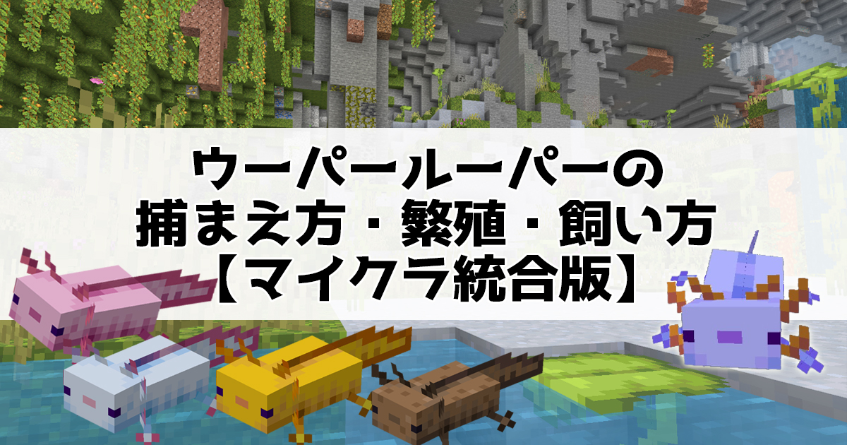 ウーパールーパーの捕まえ方・繁殖・飼い方【マイクラ統合版】